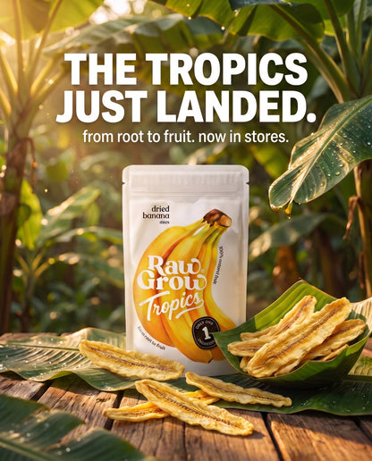 Dried Banana Slices 60g