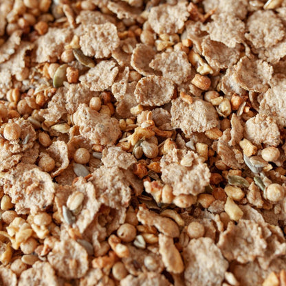 Close-up of a mixture of seeds and grains with a brown color.